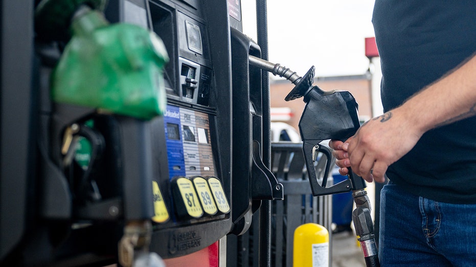 High gas prices mean GOP could feel ‘same fate’ as Dems in midterms: expert