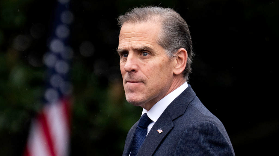 Hunter Biden goes on expletive-laced rant after meme coin collapse