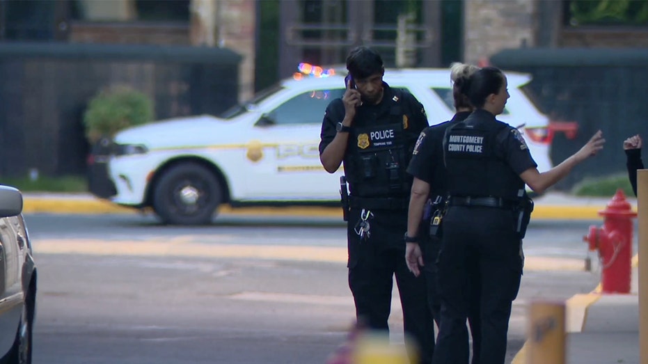 Maryland malls to enforce juvenile curfews after violent incidents: reports