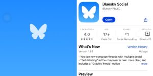 Bluesky’s ‘acceleration is tremendous’ as users flock to the new ‘old Twitter’