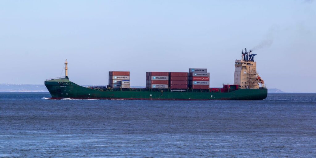 A Russian cargo ship that may have been part of an evacuation run to Syria sank