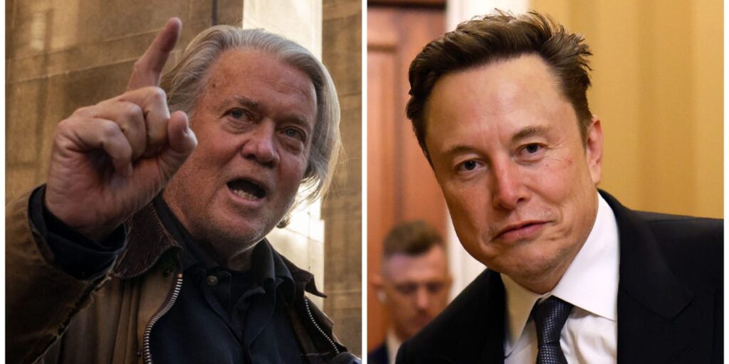 Steve Bannon advises Elon Musk to slow down and ‘study modern political history’