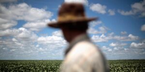 China has been stockpiling a key US crop before Trump takes office