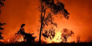 LA fires could leave a ‘staggering’ 5 billion of damage in their wake, one estimate now says. And it could get worse.