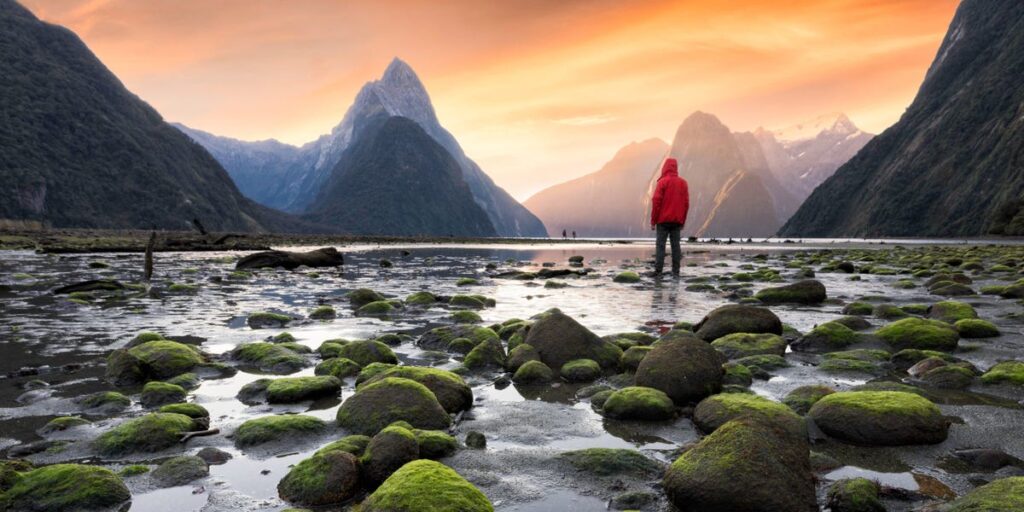 New Zealand makes it easier for digital nomads to work, as it tries to aid its struggling economy