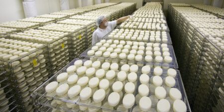 Is the World’s Brie Cheese on the Verge of Extinction?