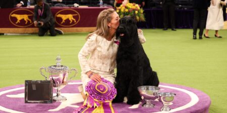 Photos show the dogs that won Westminster’s Best in Show title through the years