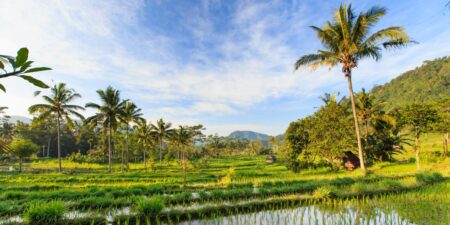 I stayed in a more rural part of Bali to avoid crowds. I loved the region I chose, and my luxe resort cost  a night.