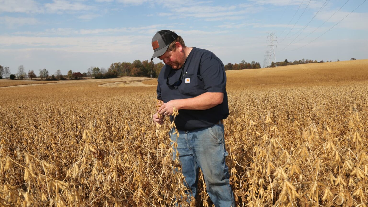 ‘Tariffs break trust’: How Trump’s trade policy is putting pressure on U.S. farmers