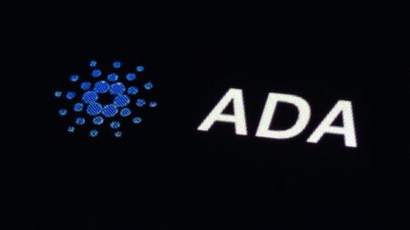 Why Is ADA Price Up 50%?