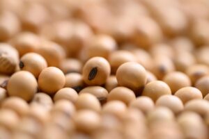 Global Soybean Markets Have Predictable Patterns During Tariff Wars