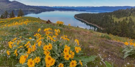 I grew up near Glacier National Park. After spending time there, check out these 6 hidden gems in the area.