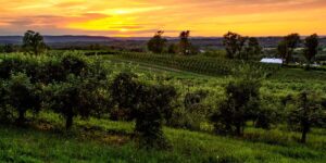 I visit a small region in upstate New York whenever I’m craving a taste of the French countryside