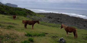 Yonaguni is a serene Japanese island featured in a Bad Bunny song — and at the front of a US-China war. See photos.