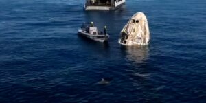 Curious dolphins welcomed NASA astronauts back to Earth after their 9-month saga stuck in space