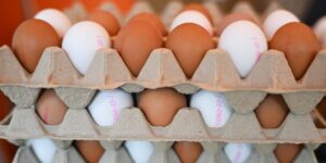 Enough about Greenland. The US now wants Denmark’s help with its egg shortage.