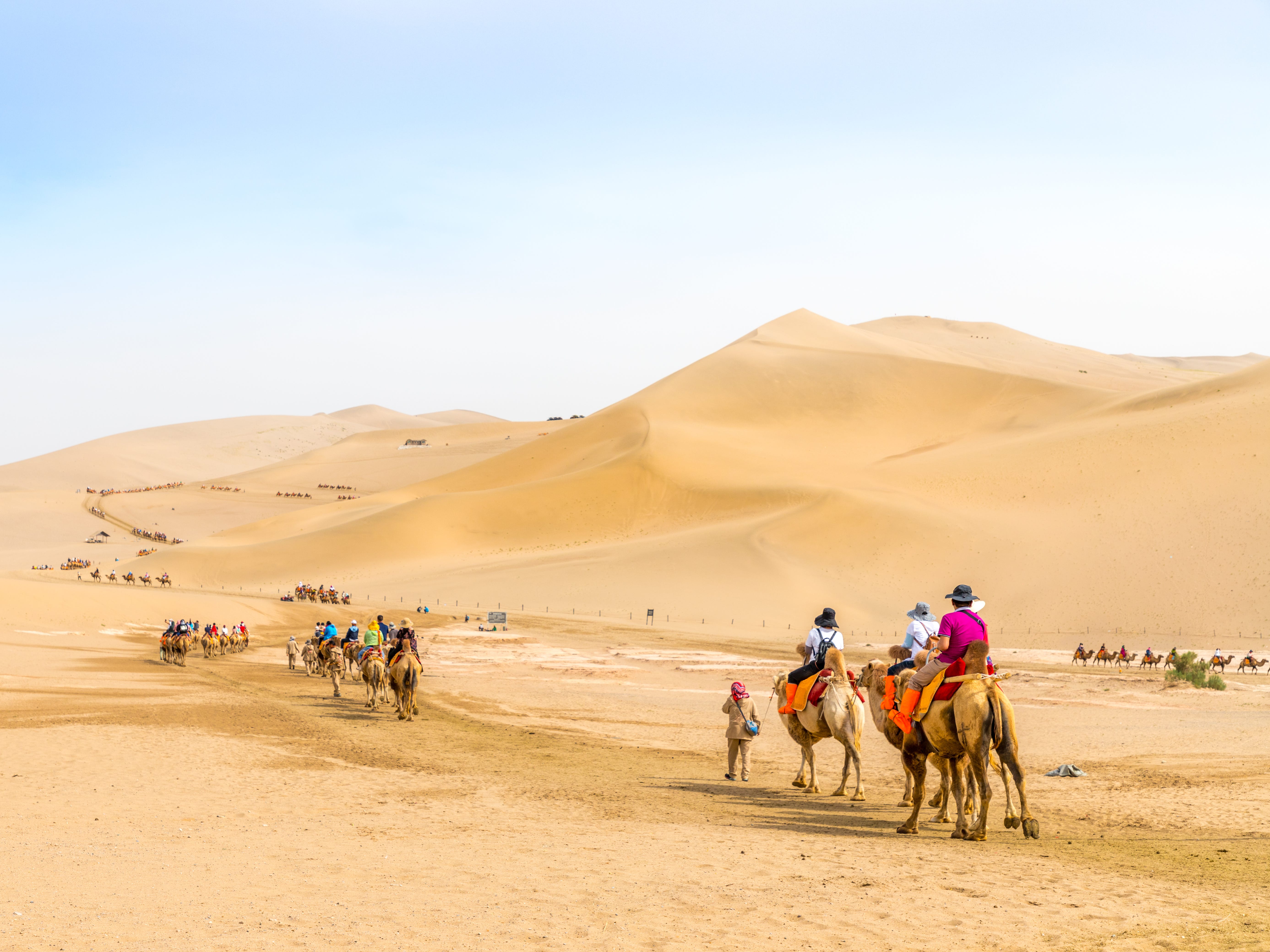 People riding camels near sand dunes