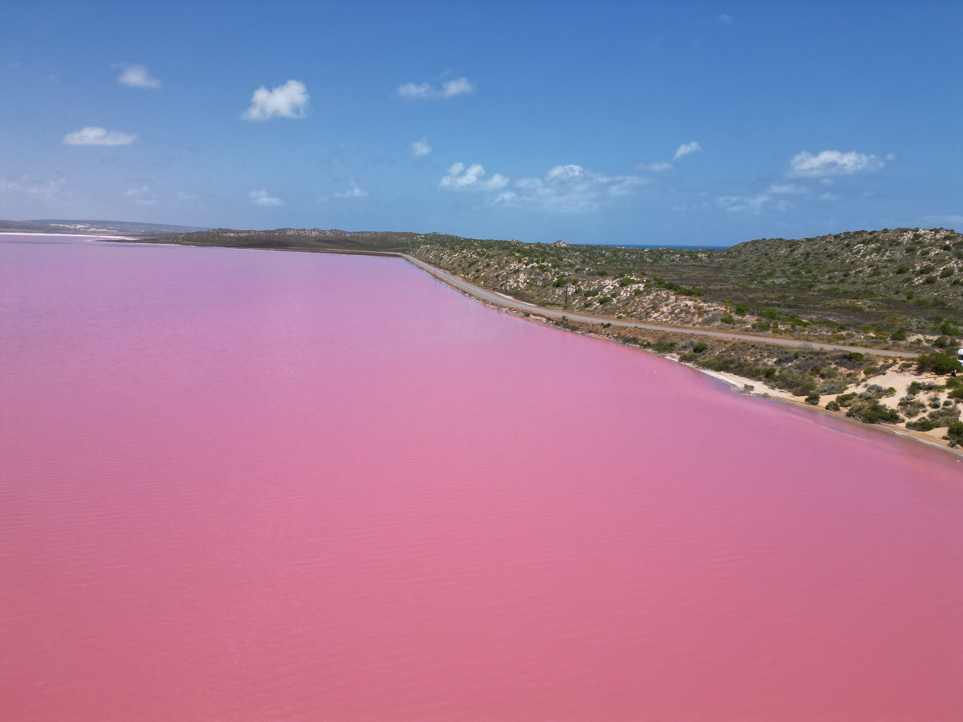 A pink lake bounded by a beach and green hill