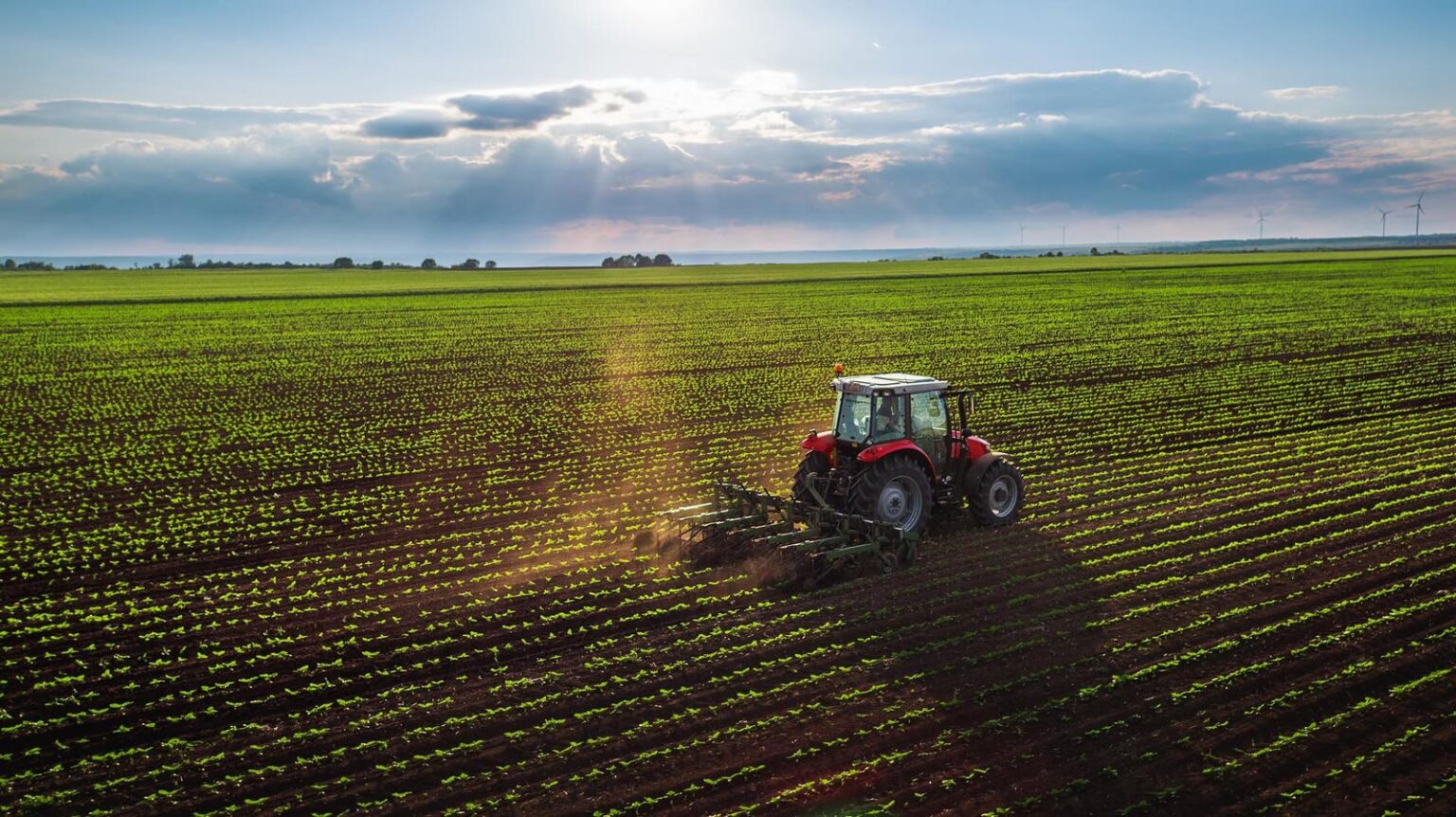 This Snubbed Fertilizer Giant Gave Investors  Billion