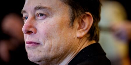 Tesla Chair Denies the Company Considered Replacing Elon Musk As CEO