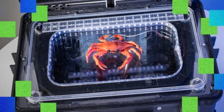SeafoodAI’s Tech Could Make Crabbing More Efficient
