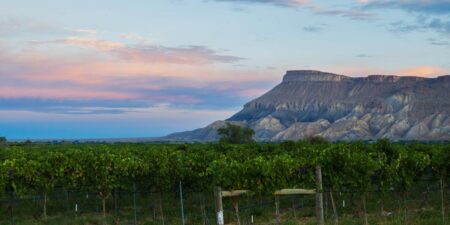 Palisade, Colorado, Is a Hidden Gem for Wine, Camping, and Hiking