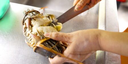 Why Indonesia’s Mud Crab Industry Could Go Extinct
