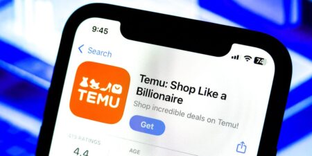 Temu Owner Saw Nearly 40% Profit Slump, in Part Due to Trump Tariffs