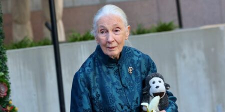 Jane Goodall Says Having ‘Nice Legs’ Helped Out Early in Her Career