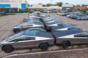 Will The Return of Elon Drive Tesla Stock Higher?