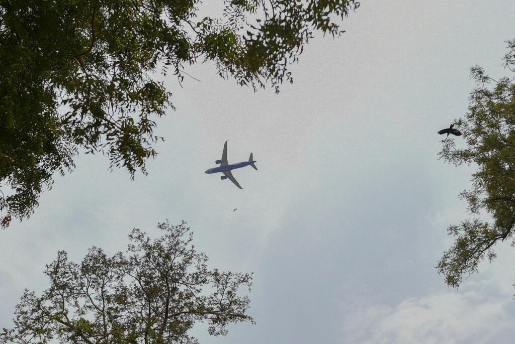 Buy, Sell, Or Hold Boeing Stock At 0?