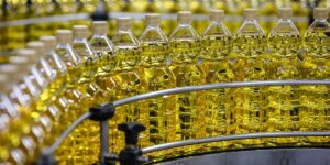 What Ultra-Processed Seed Oils Actually Mean for Your Nutrition