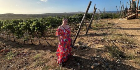 Traveling During First Trimester Can Be Tough. Here’s What Helped Me.