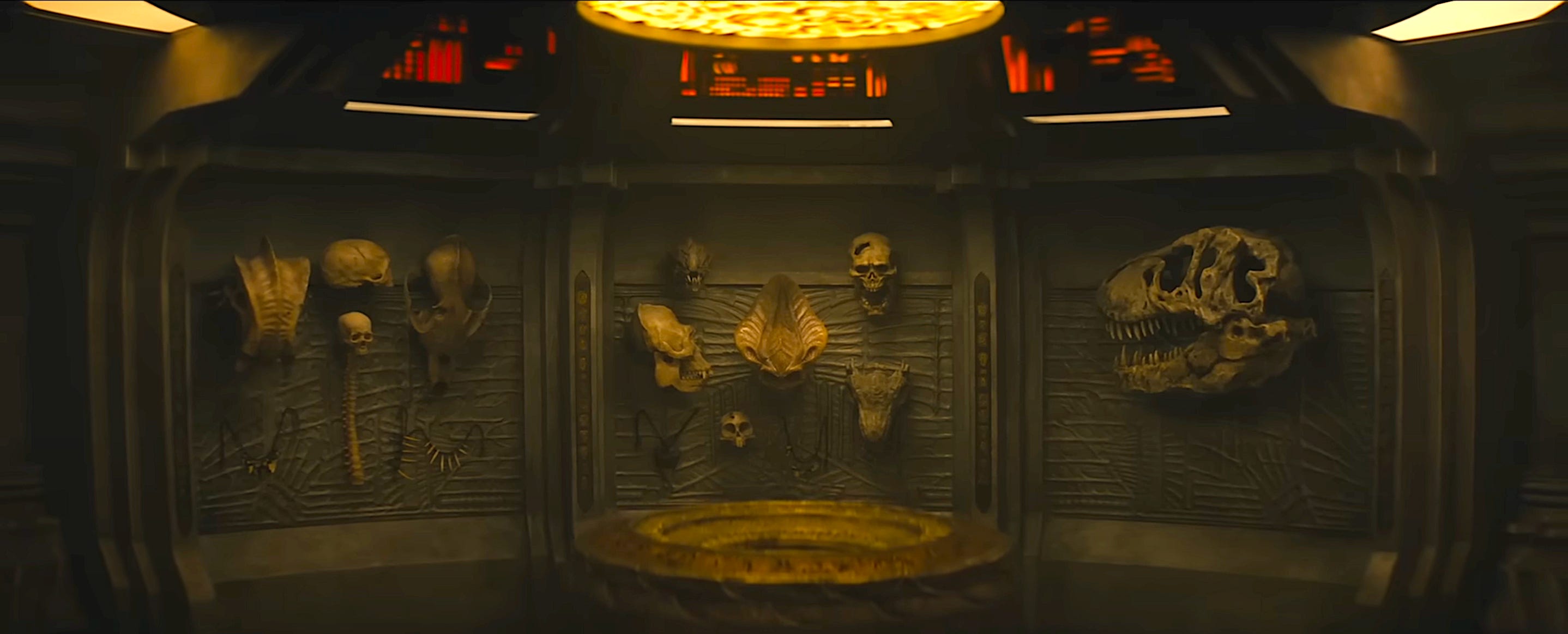 A photo of the inside of the Predator's space ship with a collection of different skulls on the wall. Most of them are alien skulls, but there is a human skull and spine on the left and what looks to be a T-Rex skull on the right.