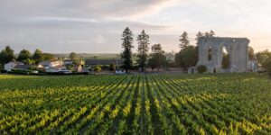 Best Wine Regions Everyone Should Visit, From Expert Who’s Been to 77