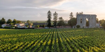 Best Wine Regions Everyone Should Visit, From Expert Who’s Been to 77