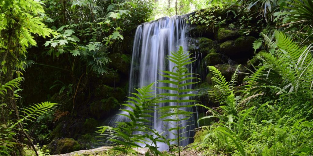 Favorite Florida State Parks to Visit, From Local of 25 Years