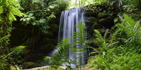 Favorite Florida State Parks to Visit, From Local of 25 Years