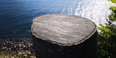 Cutting Neighbors’ Trees Leads to Lawsuits in Billionaire Hot Spots
