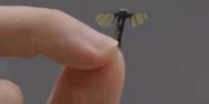 Military Experts Weigh in on China’s New Mosquito-Like Spy Drone