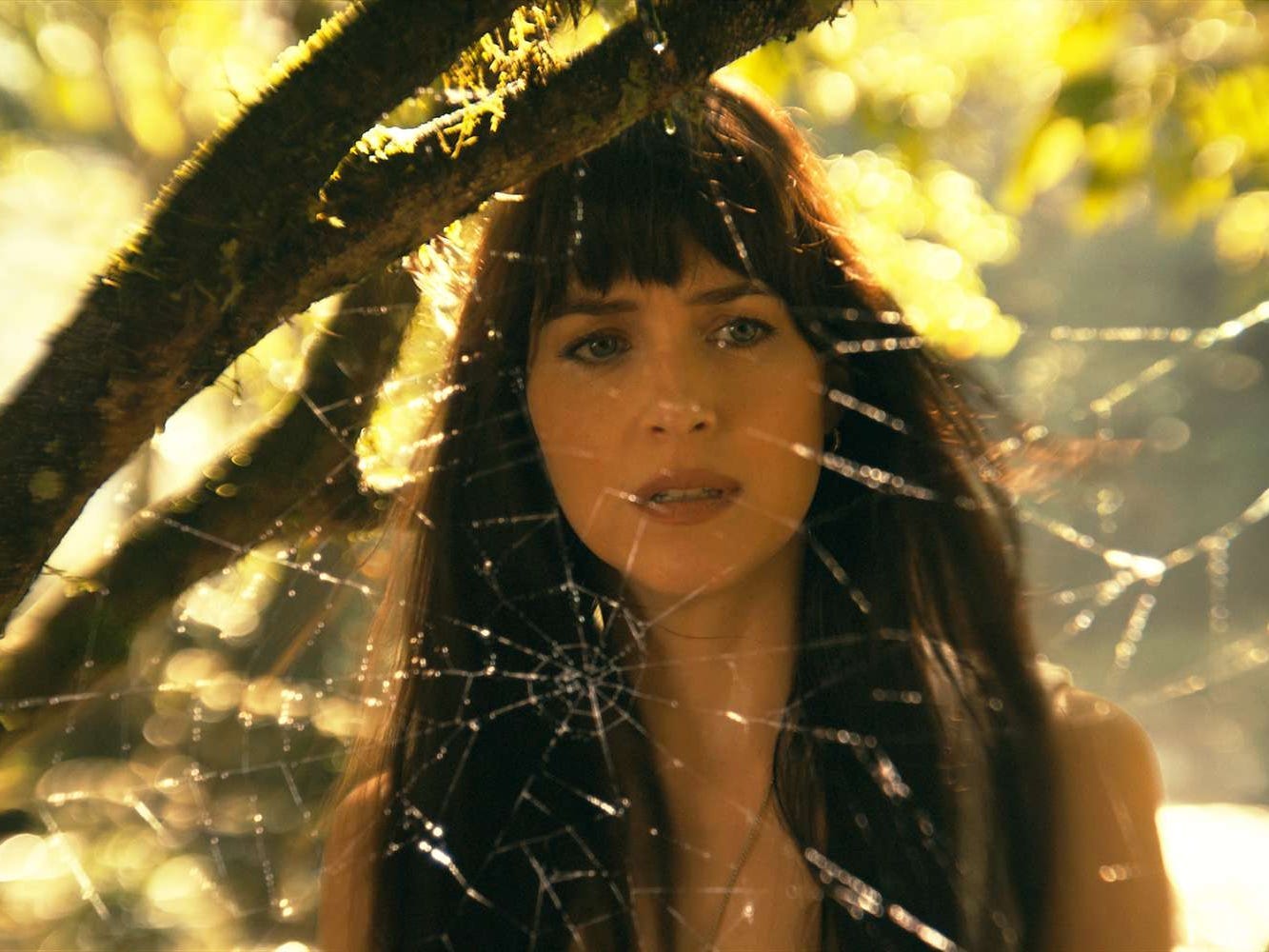 Dakota Johnson looking at a spider web