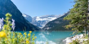 More Europeans Flying to Canada Instead of the US: Cirium Data Shows