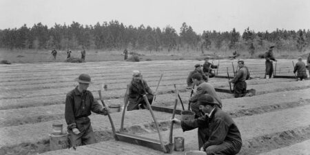 Photos Show FDR’s CCC or Tree Army Transforming US Parks and Forests