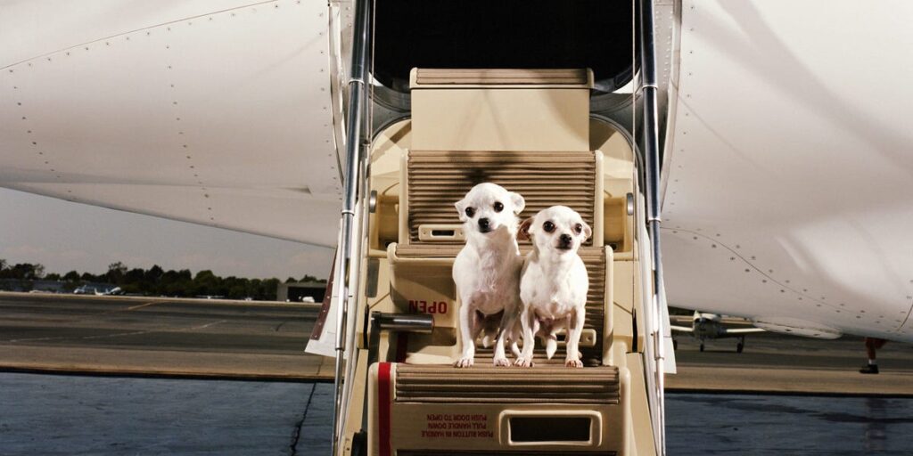 How Much It Costs to Own a Private Jet