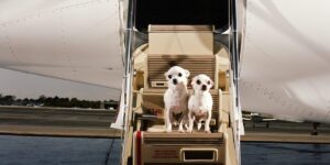 How Much It Costs to Own a Private Jet