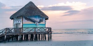 Moved From US to Mexico; Life Here Reminds Me of My Time on ‘Survivor’
