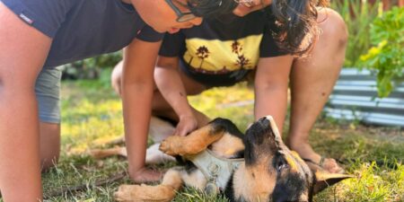 My Son Didn’t Get a Summer Job, but Fostering a Dog Taught Him More