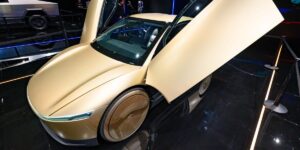 Tesla Releases Robotaxi App. Waitlist Open to Everyone.