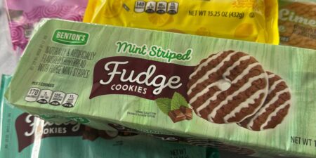 I Started Shopping at Aldi; New Favorite Grocery Store, Saved Money
