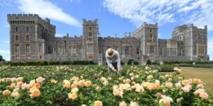 Inside Windsor Castle, Where Donald Trump and King Charles Will Meet